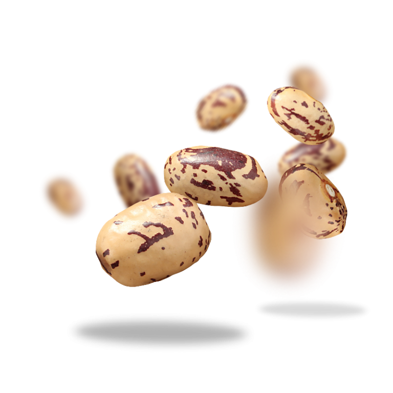 đậu cúc hữu cơ