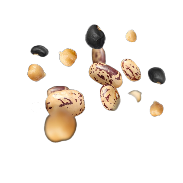 Hạt dinh dưỡng hỗn hợp 5 loại hạt hữu cơ Sottolestelle 400g - Ảnh 3