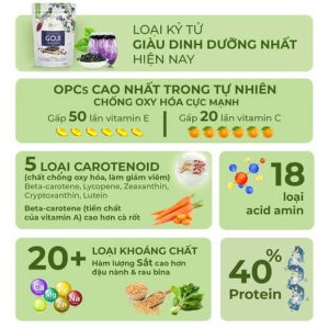Giá trị dinh dưỡng Dinh dưỡng Hắc kỷ tử hoang dã Organic Life
