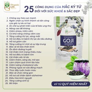 Dinh dưỡng Hắc kỷ tử hoang dã Organic Life