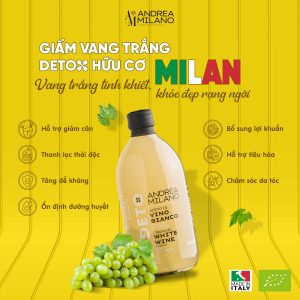 Công dụng của giấm vang trắng detox hữu cơ Milan